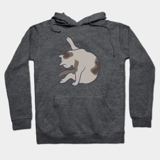 Keep it clean – this is all the cat mean (pose 1) Hoodie